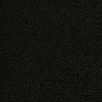 FABRIC Leather Due : Due / Black FABRIC Leather Due : Due / Black